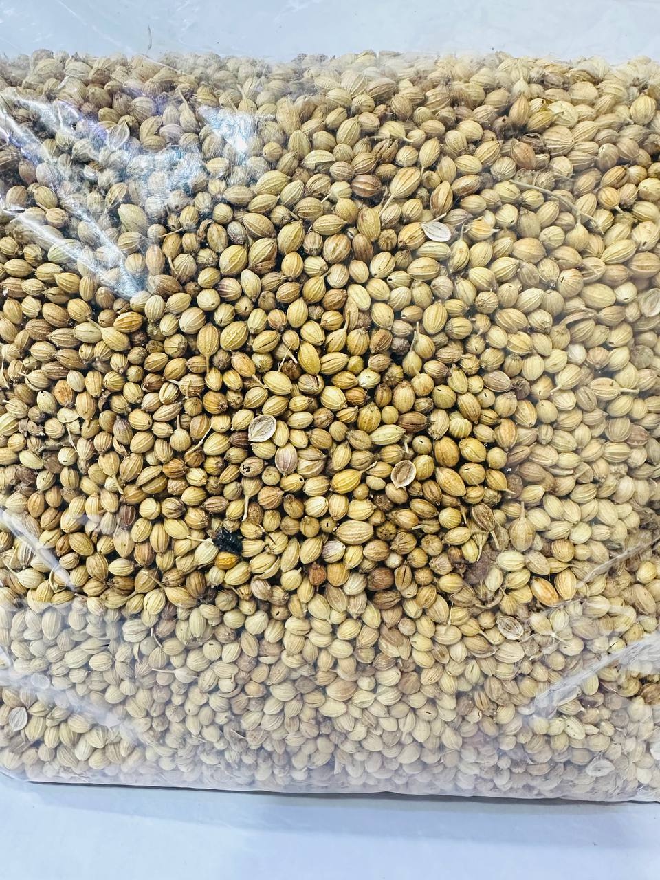 كزبرة حب 200 جرام - Whole Coriander