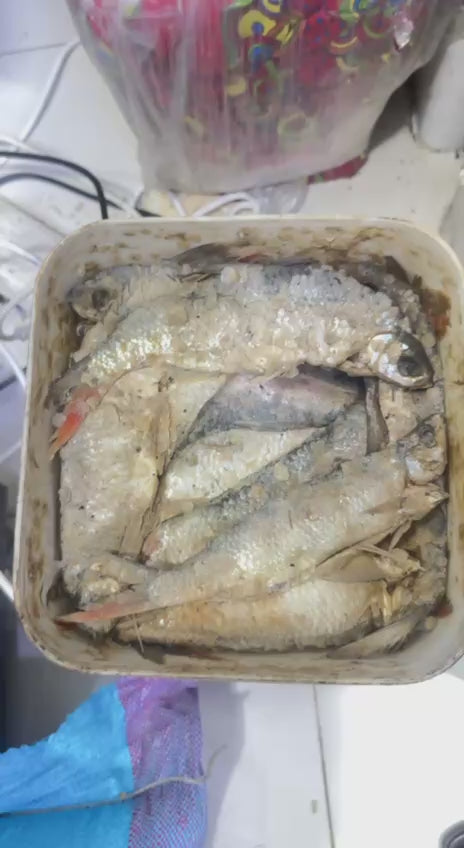 فسيخ ابو كاس